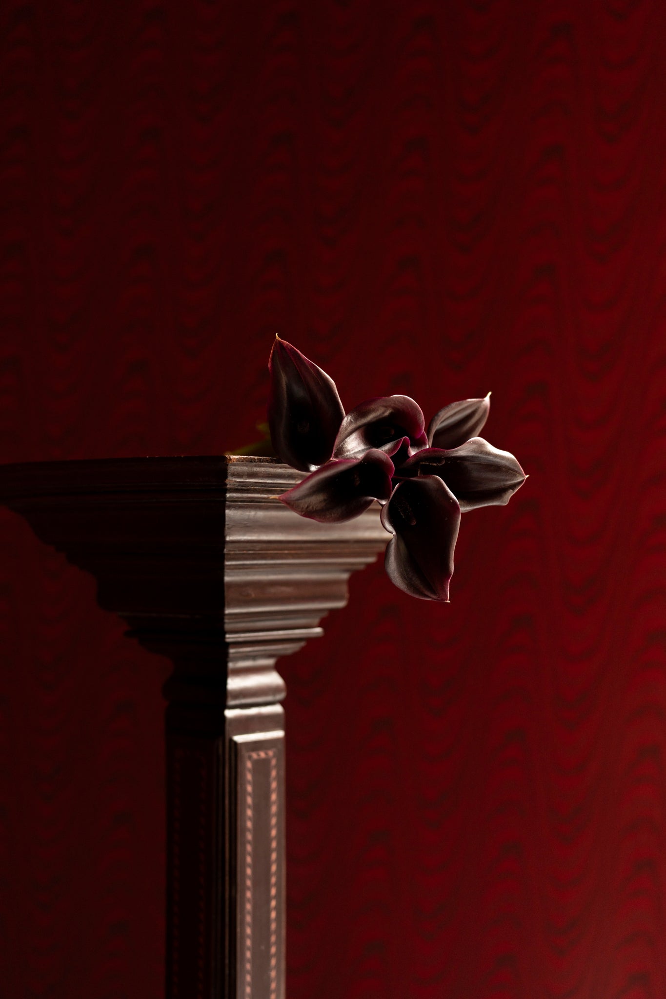 moiré tissé - paper backed wall covering
