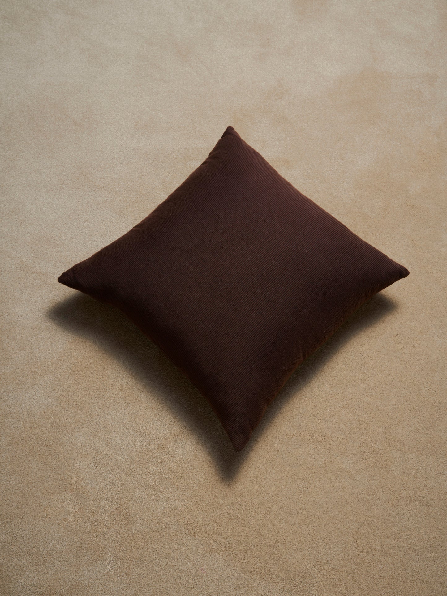 CUSHION - CC'S REPP
