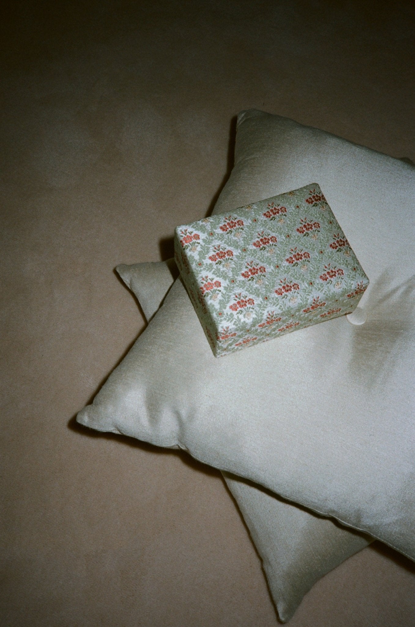 the jewellery case - Brant's trellis - CC Moulton