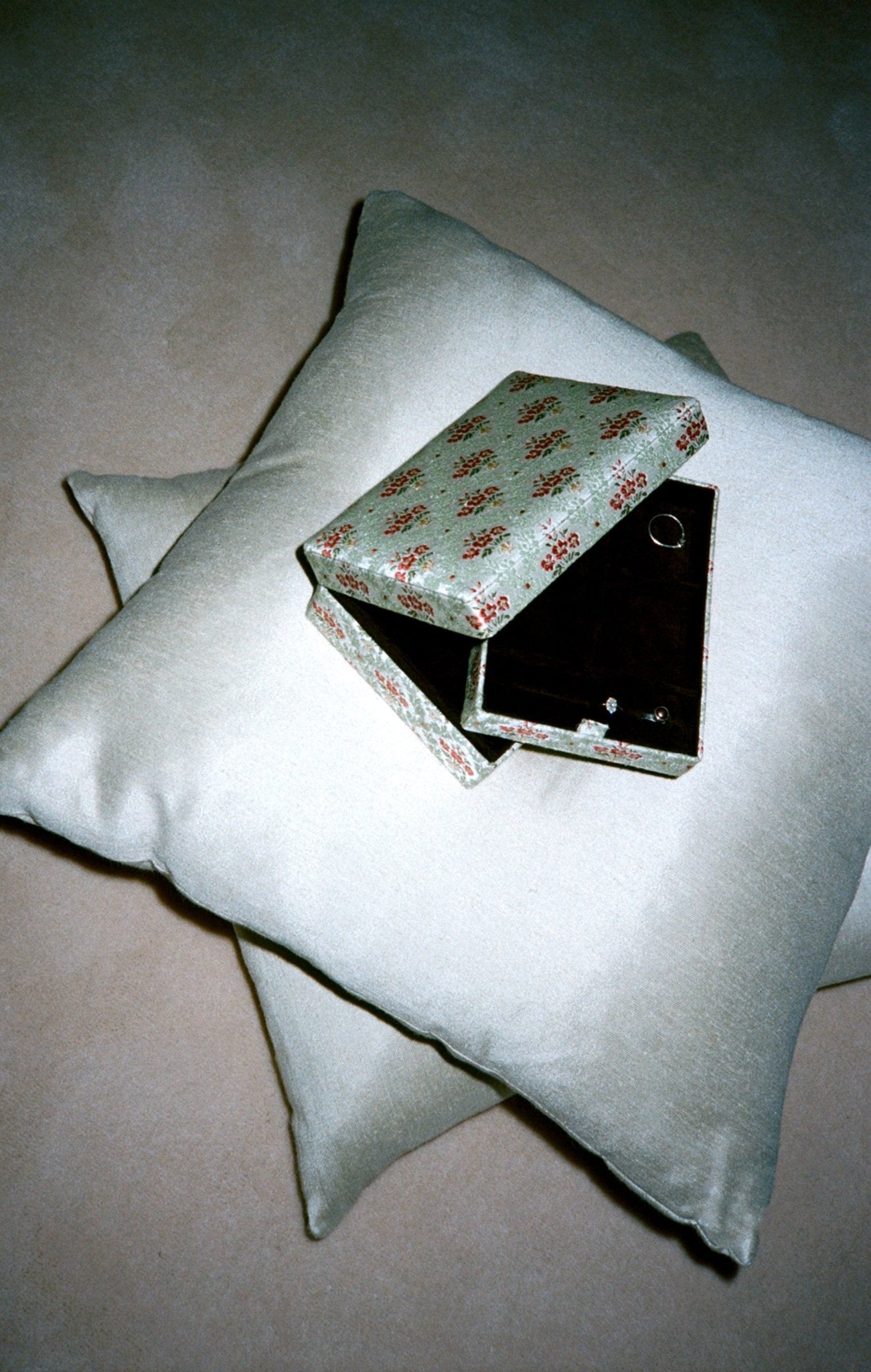 the jewellery case - Brant's trellis - CC Moulton